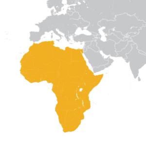 AFRICA MAP